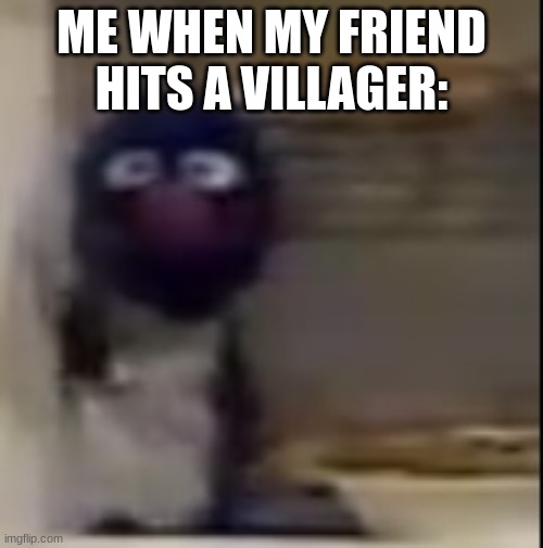 WHAT HAVE YOU DONE?!? | ME WHEN MY FRIEND HITS A VILLAGER: | image tagged in grover staring | made w/ Imgflip meme maker