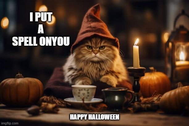 memes by Brad - The cat put a spell on you just for Halloween | I PUT A SPELL ONYOU; HAPPY HALLOWEEN | image tagged in cats,funny,kitten,halloween,humor,funny cat memes | made w/ Imgflip meme maker