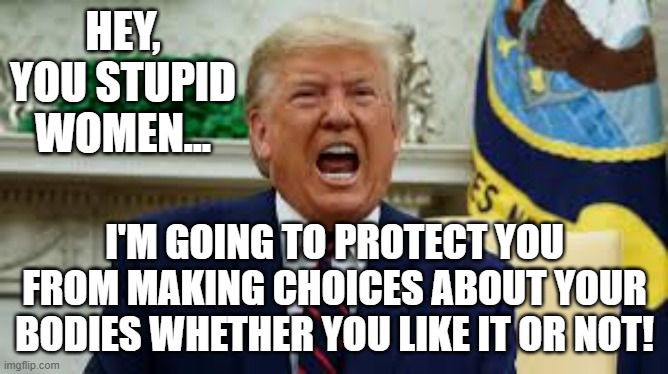 Trump Will Protect Women From Themselves Meme | HEY, YOU STUPID WOMEN... I'M GOING TO PROTECT YOU FROM MAKING CHOICES ABOUT YOUR BODIES WHETHER YOU LIKE IT OR NOT! | image tagged in donald trump,kamala harris,garbage,joe biden,protect,women | made w/ Imgflip meme maker