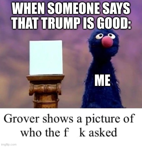 he is bad | WHEN SOMEONE SAYS THAT TRUMP IS GOOD:; ME | image tagged in grover shows a picture of who the freak asked | made w/ Imgflip meme maker