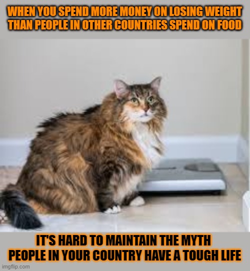 This #lolcat wonders why hoo-mens think they have it bad | WHEN YOU SPEND MORE MONEY ON LOSING WEIGHT
THAN PEOPLE IN OTHER COUNTRIES SPEND ON FOOD; IT'S HARD TO MAINTAIN THE MYTH 
PEOPLE IN YOUR COUNTRY HAVE A TOUGH LIFE | image tagged in lolcat,weight loss,overweight,comparison | made w/ Imgflip meme maker