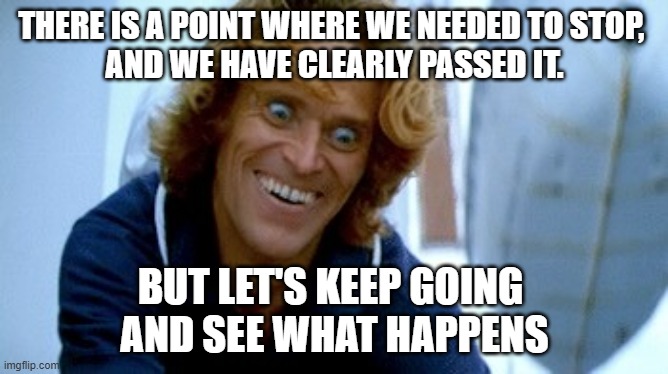 Non-Anime "Past the Point" | THERE IS A POINT WHERE WE NEEDED TO STOP, 
AND WE HAVE CLEARLY PASSED IT. BUT LET'S KEEP GOING 
AND SEE WHAT HAPPENS | image tagged in willem dafoe face | made w/ Imgflip meme maker