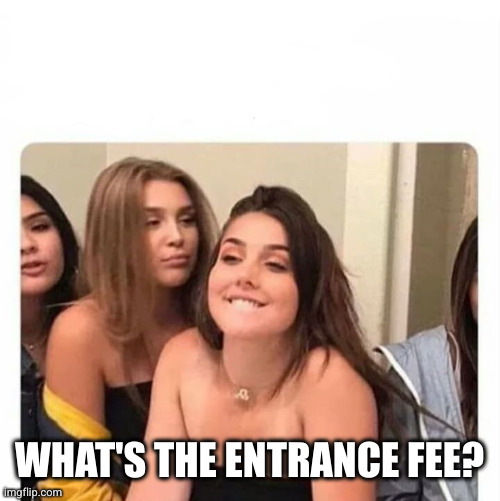 horny girl | WHAT'S THE ENTRANCE FEE? | image tagged in horny girl | made w/ Imgflip meme maker