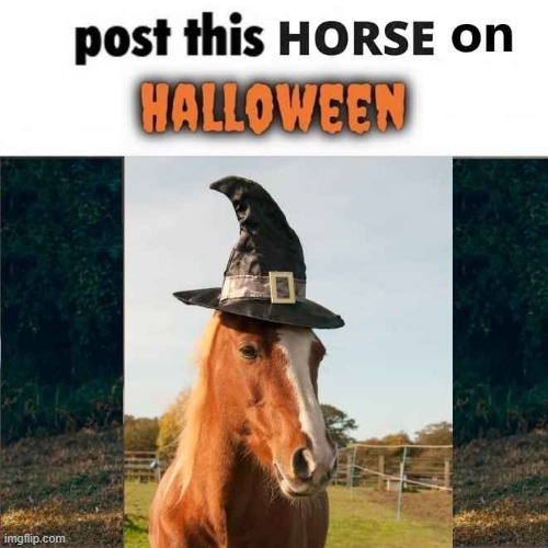 hallowen | image tagged in hallosuckingmyweiner | made w/ Imgflip meme maker