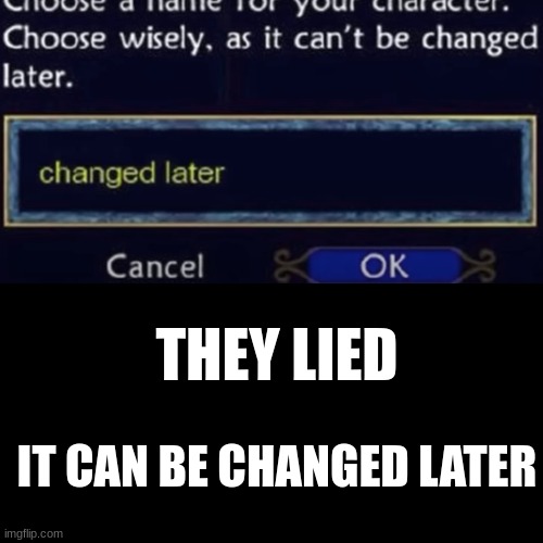 Those lying jerks! | THEY LIED; IT CAN BE CHANGED LATER | image tagged in funny,plot twist,memes | made w/ Imgflip meme maker