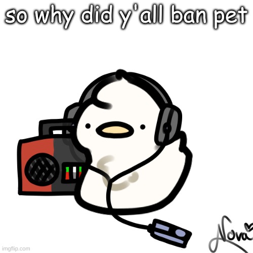 Ducky | so why did y'all ban pet | image tagged in ducky | made w/ Imgflip meme maker