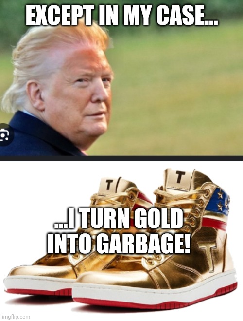 EXCEPT IN MY CASE... ...I TURN GOLD INTO GARBAGE! | image tagged in drag trump,trump sneakers | made w/ Imgflip meme maker