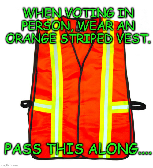 Vote with a vest | WHEN VOTING IN PERSON, WEAR AN ORANGE STRIPED VEST. PASS THIS ALONG.... | image tagged in vote,vest | made w/ Imgflip meme maker