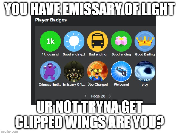 YOU HAVE EMISSARY OF LIGHT; UR NOT TRYNA GET CLIPPED WINGS ARE YOU? | made w/ Imgflip meme maker