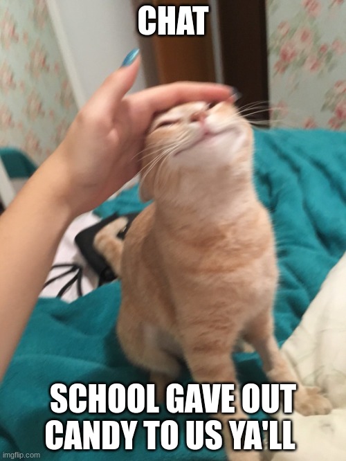 :3333 | CHAT; SCHOOL GAVE OUT CANDY TO US YA'LL | image tagged in cat pat | made w/ Imgflip meme maker