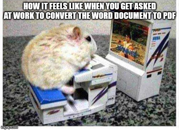 silly mouse | HOW IT FEELS LIKE WHEN YOU GET ASKED AT WORK TO CONVERT THE WORD DOCUMENT TO PDF | image tagged in memes | made w/ Imgflip meme maker