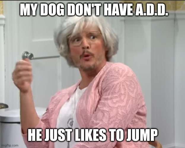 Protective Mom | MY DOG DON'T HAVE A.D.D. HE JUST LIKES TO JUMP | image tagged in ifunny | made w/ Imgflip meme maker