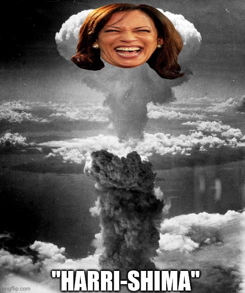 Dont let them destroy America | "HARRI-SHIMA" | image tagged in hiroshima | made w/ Imgflip meme maker