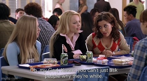 Oh my god Karen you can’t just ask people why they’re white Blank Meme Template