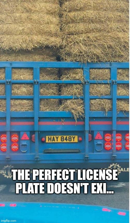 THE PERFECT LICENSE PLATE DOESN'T EXI... | image tagged in license plate,hay,baby | made w/ Imgflip meme maker