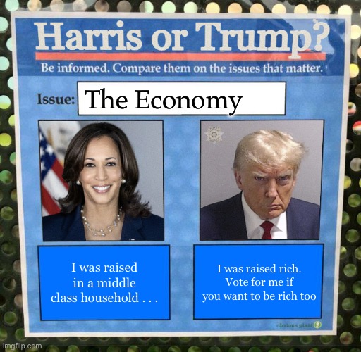 The Ecomomy | The Economy; I was raised rich. Vote for me if you want to be rich too; I was raised in a middle class household . . . | image tagged in harris or trump on the issues 2024 election,economy | made w/ Imgflip meme maker