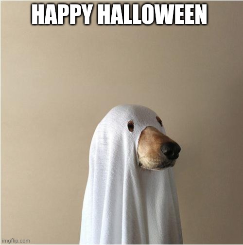 Ghost Doge | HAPPY HALLOWEEN | image tagged in ghost doge | made w/ Imgflip meme maker