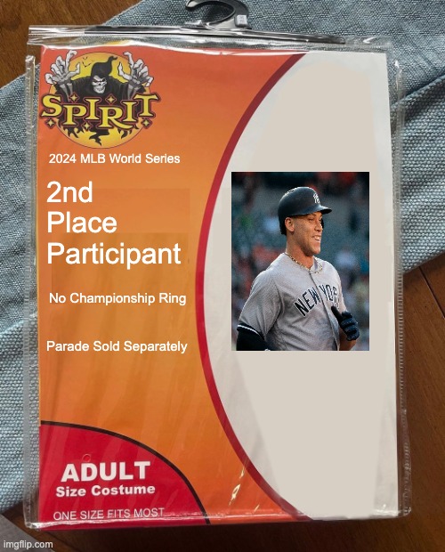 Yankees Costume | 2nd Place Participant; 2024 MLB World Series; No Championship Ring; Parade Sold Separately | image tagged in spirit halloween | made w/ Imgflip meme maker