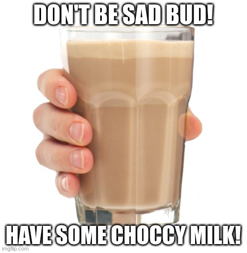 Choccy Milk | DON'T BE SAD BUD! HAVE SOME CHOCCY MILK! | image tagged in choccy milk | made w/ Imgflip meme maker