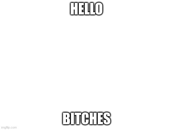 HELLO; BITCHES | made w/ Imgflip meme maker
