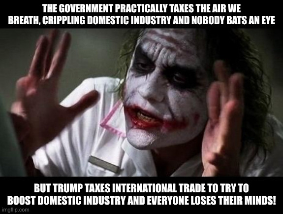 Tarrifs are the only taxes Democrats oppose. | THE GOVERNMENT PRACTICALLY TAXES THE AIR WE BREATH, CRIPPLING DOMESTIC INDUSTRY AND NOBODY BATS AN EYE; BUT TRUMP TAXES INTERNATIONAL TRADE TO TRY TO BOOST DOMESTIC INDUSTRY AND EVERYONE LOSES THEIR MINDS! | image tagged in joker everyone loses their minds,tarrifs,trump,taxes,income taxes,trade | made w/ Imgflip meme maker