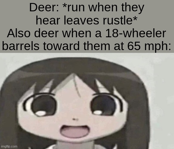 "OOhhh, shiny lights!" | Deer: *run when they hear leaves rustle*
Also deer when a 18-wheeler barrels toward them at 65 mph: | image tagged in osaka is scary | made w/ Imgflip meme maker