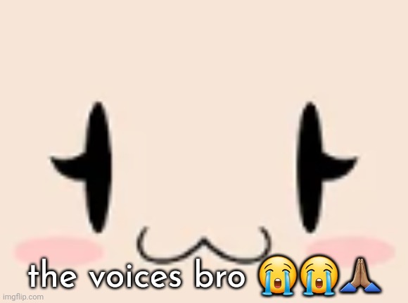 why is bro so :3 | the voices bro 😭😭🙏🏽 | image tagged in why is bro so 3 | made w/ Imgflip meme maker