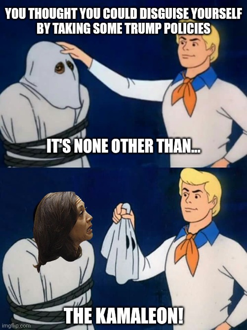 Happy Halloween | YOU THOUGHT YOU COULD DISGUISE YOURSELF
BY TAKING SOME TRUMP POLICIES; IT'S NONE OTHER THAN... THE KAMALEON! | image tagged in scooby doo mask reveal,democrats,kamala harris | made w/ Imgflip meme maker