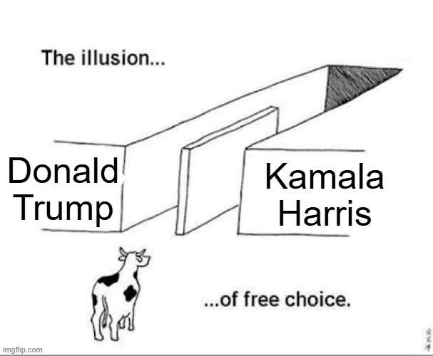 May the best cheaters win | Donald Trump; Kamala Harris | image tagged in illusion of free choice | made w/ Imgflip meme maker