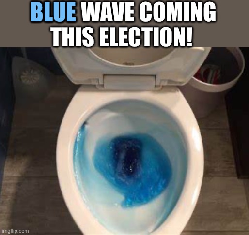 Blue Wave Coming! | BLUE WAVE COMING THIS ELECTION! BLUE | image tagged in election 2024,blue wave,vote red | made w/ Imgflip meme maker