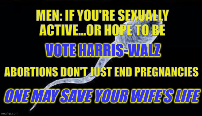 Abortion...May Save Your Wife's Life | MEN: IF YOU'RE SEXUALLY ACTIVE...OR HOPE TO BE; VOTE HARRIS-WALZ; ABORTIONS DON'T JUST END PREGNANCIES; ONE MAY SAVE YOUR WIFE'S LIFE | image tagged in da sperm | made w/ Imgflip meme maker