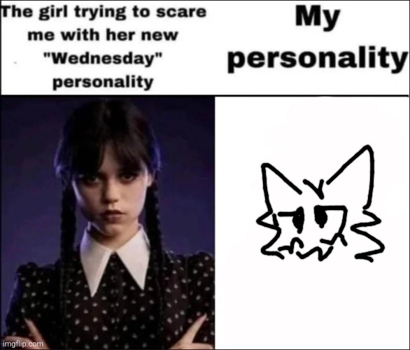 The girl trying to scare me with her new Wednesday personality | image tagged in the girl trying to scare me with her new wednesday personality | made w/ Imgflip meme maker