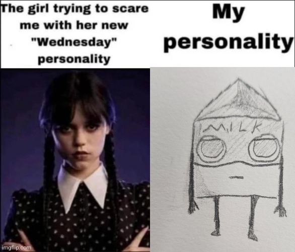 The girl trying to scare me with her new Wednesday personality | image tagged in the girl trying to scare me with her new wednesday personality | made w/ Imgflip meme maker