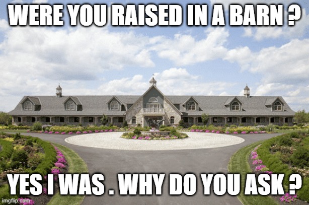 memes by Brad - Were you raised in a barn? - humor - | WERE YOU RAISED IN A BARN ? YES I WAS . WHY DO YOU ASK ? | image tagged in funny,question,play on words,humor,funny meme | made w/ Imgflip meme maker