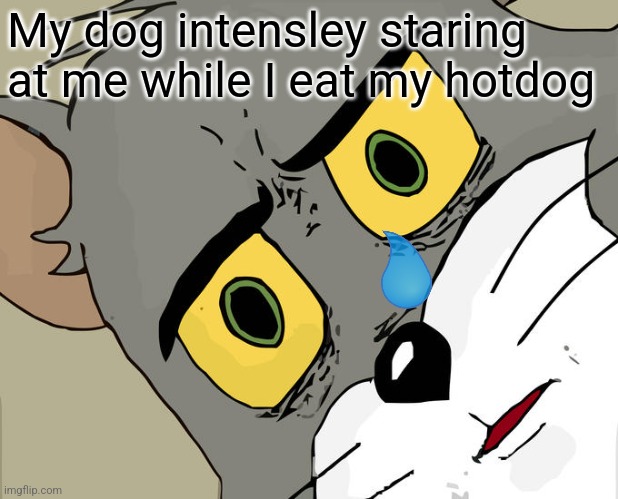 My dog | My dog intensley staring at me while I eat my hotdog | image tagged in memes,unsettled tom | made w/ Imgflip meme maker