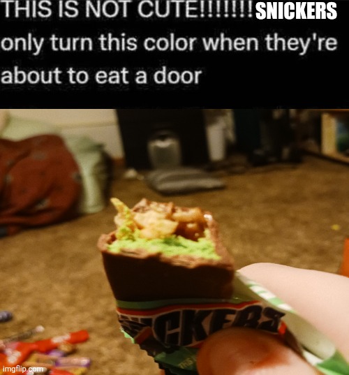 This is NOT cute | SNICKERS | image tagged in this is not cute | made w/ Imgflip meme maker