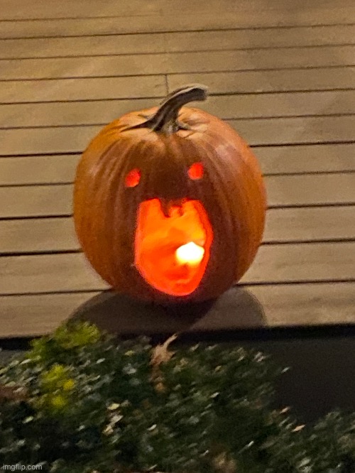 uhm guys what happened to dumb ahh pumkin | made w/ Imgflip meme maker