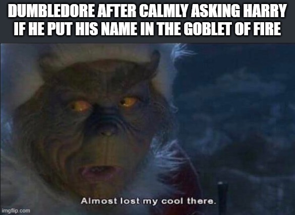 HARRY | DUMBLEDORE AFTER CALMLY ASKING HARRY IF HE PUT HIS NAME IN THE GOBLET OF FIRE | image tagged in almost lost my cool there,memes,funny,harry potter | made w/ Imgflip meme maker