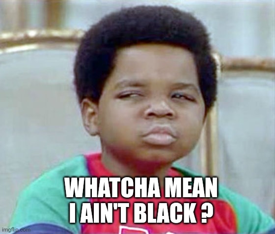 gary coleman whatcu | WHATCHA MEAN
I AIN'T BLACK ? | image tagged in gary coleman whatcu | made w/ Imgflip meme maker