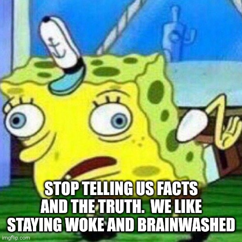 triggerpaul | STOP TELLING US FACTS AND THE TRUTH.  WE LIKE STAYING WOKE AND BRAINWASHED | image tagged in triggerpaul | made w/ Imgflip meme maker