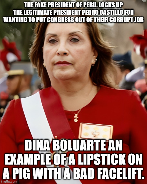 Welcome to Peru. Being run by a female mobster and bad plastic surgery | THE FAKE PRESIDENT OF PERU. LOCKS UP THE LEGITIMATE PRESIDENT PEDRO CASTILLO FOR WANTING TO PUT CONGRESS OUT OF THEIR CORRUPT JOB; DINA BOLUARTE AN EXAMPLE OF A LIPSTICK ON A PIG WITH A BAD FACELIFT. | image tagged in peru,banana republic,plastic surgery,donald trump approves,joe biden | made w/ Imgflip meme maker