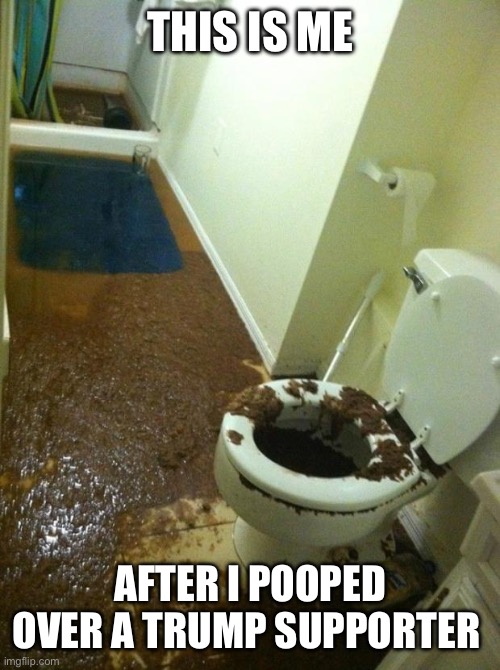 poop | THIS IS ME; AFTER I POOPED OVER A TRUMP SUPPORTER | image tagged in poop | made w/ Imgflip meme maker