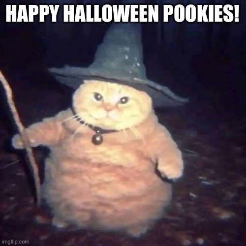 Sorry I’m late, the days almost done | HAPPY HALLOWEEN POOKIES! | image tagged in wizard cat | made w/ Imgflip meme maker