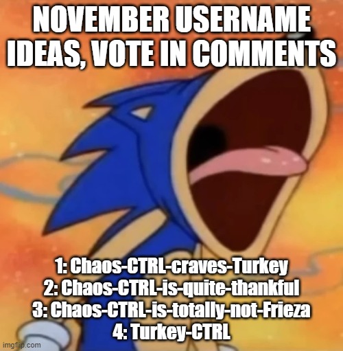 sonic scream | NOVEMBER USERNAME IDEAS, VOTE IN COMMENTS; 1: Chaos-CTRL-craves-Turkey
2: Chaos-CTRL-is-quite-thankful
3: Chaos-CTRL-is-totally-not-Frieza
4: Turkey-CTRL | image tagged in sonic scream | made w/ Imgflip meme maker