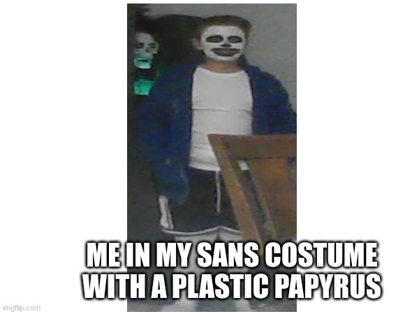 ME IN MY SANS COSTUME WITH A PLASTIC PAPYRUS | made w/ Imgflip meme maker