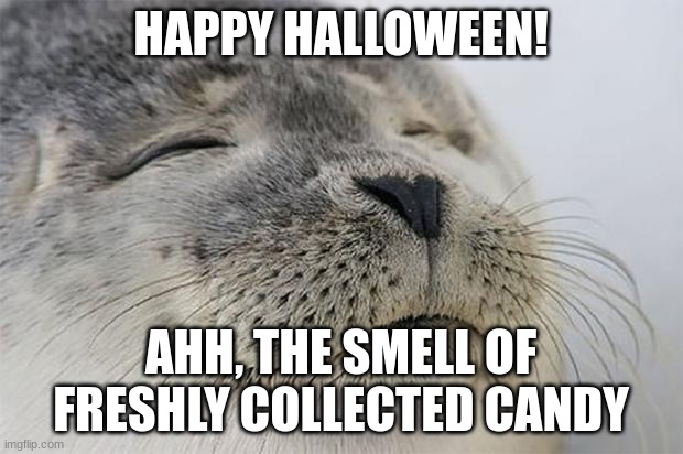 Happy Halloween! | HAPPY HALLOWEEN! AHH, THE SMELL OF FRESHLY COLLECTED CANDY | image tagged in memes,satisfied seal,happy,halloween,to,you | made w/ Imgflip meme maker