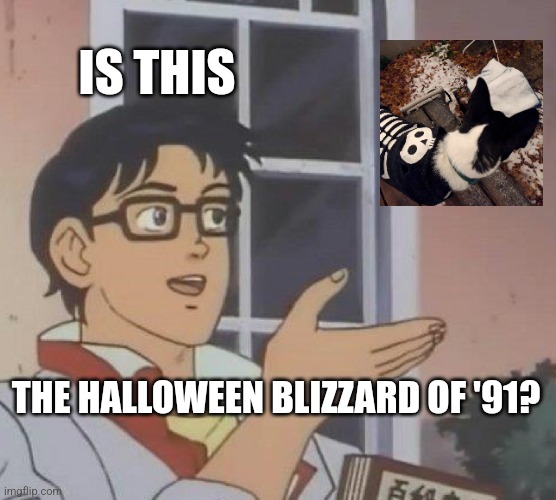 Is This A Pigeon Meme | IS THIS; THE HALLOWEEN BLIZZARD OF '91? | image tagged in memes,is this a pigeon | made w/ Imgflip meme maker