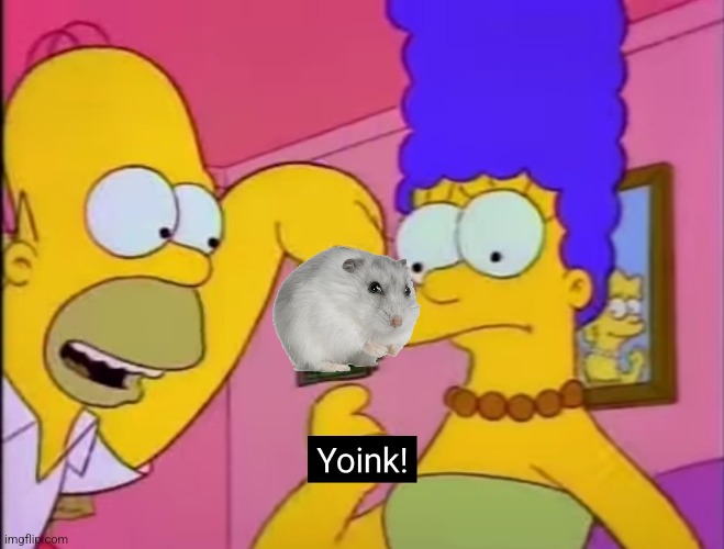 Yoink! | image tagged in yoink | made w/ Imgflip meme maker