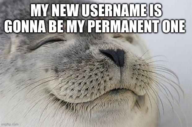 I’ve unspookified myself | MY NEW USERNAME IS GONNA BE MY PERMANENT ONE | image tagged in memes,satisfied seal | made w/ Imgflip meme maker