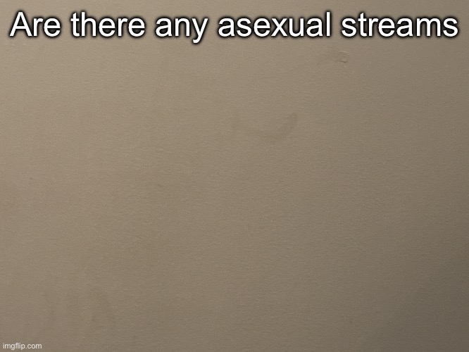 Tako Wall Reveal | Are there any asexual streams | image tagged in tako wall reveal | made w/ Imgflip meme maker